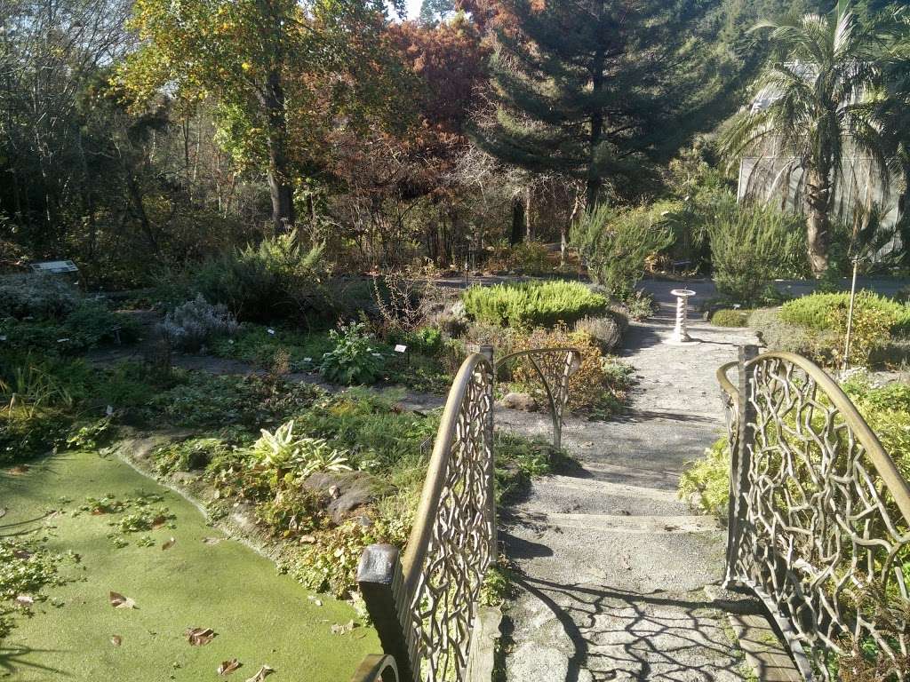 University of California Botanical Garden at Berkeley | 200 Centennial Dr, Berkeley, CA 94720, USA | Phone: (510) 643-2755