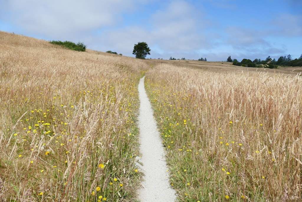 Wilder Ranch State Park | 1401 Coast Rd, Santa Cruz, CA 95060, USA | Phone: (831) 423-9703