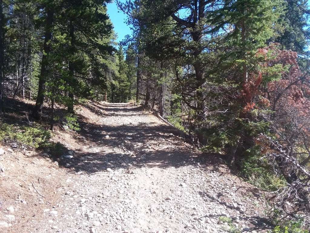 South Saint Vrain Trailhead | 173 Co Rd 96, Ward, CO 80481, USA | Phone: (303) 541-2500