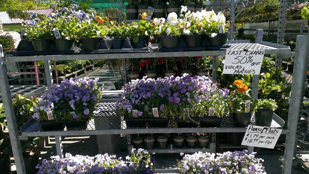 Plants By Wolfangel | 8181 Beechmont Ave, Cincinnati, OH 45255, USA | Phone: (513) 474-7495