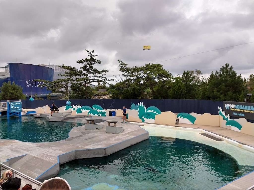 New York Aquarium | 602 Surf Ave, Brooklyn, NY 11224, USA | Phone: (718) 265-3474