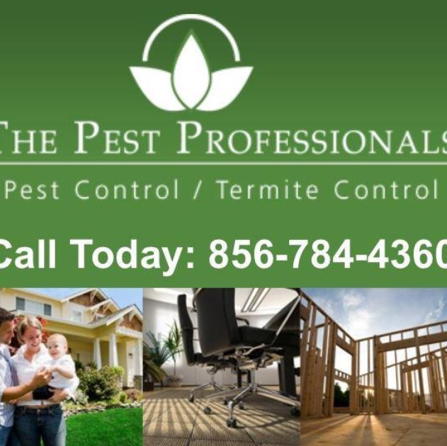 Pest Professionals | 22 Jerome Ave, Sicklerville, NJ 08081, USA | Phone: (856) 784-4360