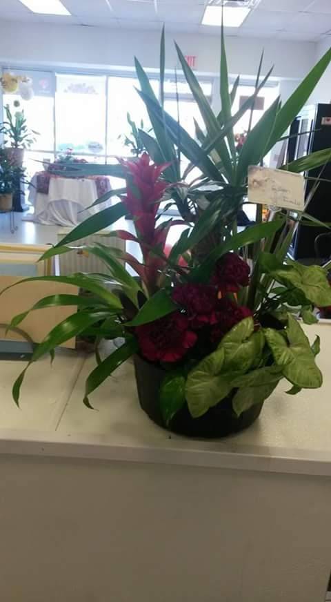 EBS Floral Shop | 6035 N Teutonia Ave, Milwaukee, WI 53209, USA | Phone: (414) 433-0400