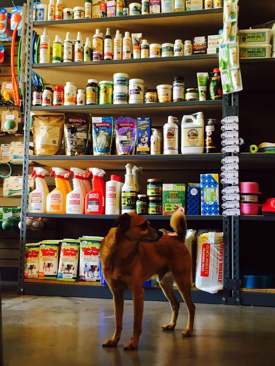 Protein for Pets | 712 N Moorpark Rd, Thousand Oaks, CA 91360, USA | Phone: (805) 552-7892