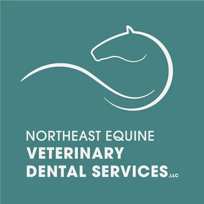 Northeast Equine Veterinary Dental Services, LLC | 84 Hill St, Topsfield, MA 01983, USA | Phone: (978) 500-9293