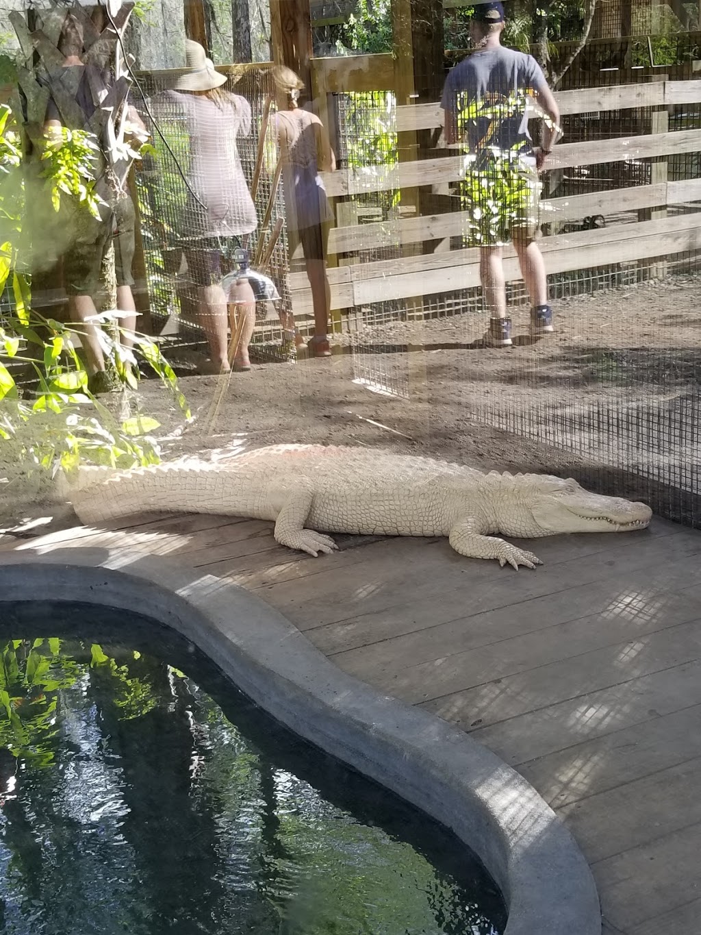 Wild Florida Airboats & Gator Park | 3301 Lake Cypress Rd, Kenansville, FL 34739, USA | Phone: (407) 957-3135