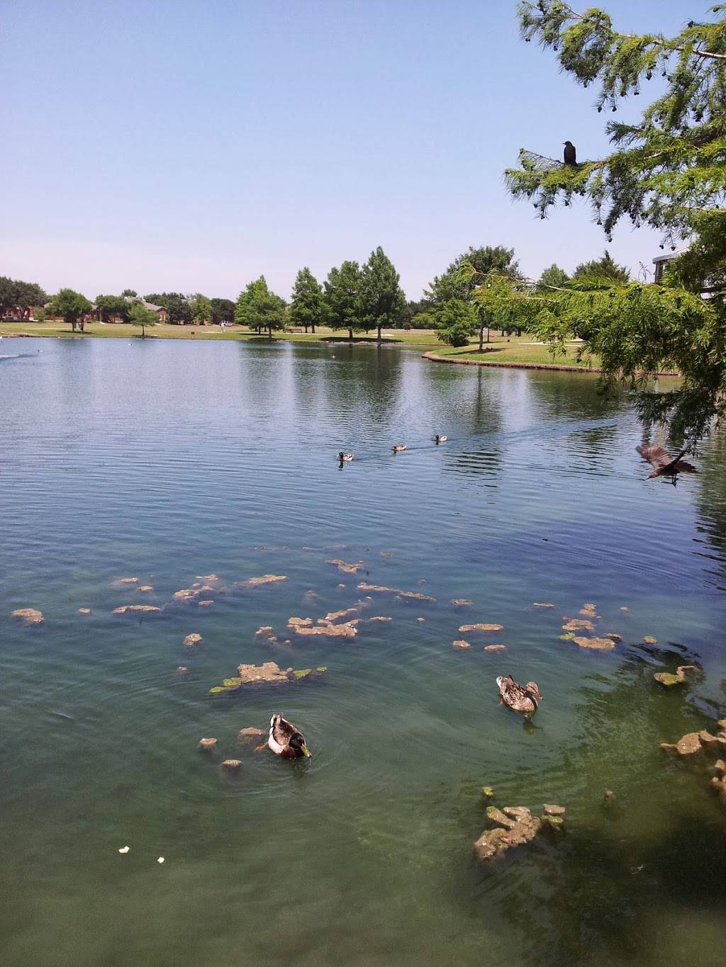 Shadow Lakes Park | Allen Heights Drive, Park Pl Dr, Allen, TX 75002, USA | Phone: (214) 509-4700