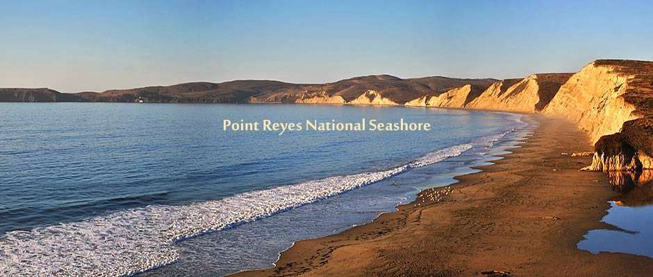 Cottages at Point Reyes Seashore | 13275 Sir Francis Drake Blvd, Inverness, CA 93937, USA | Phone: (415) 669-7250