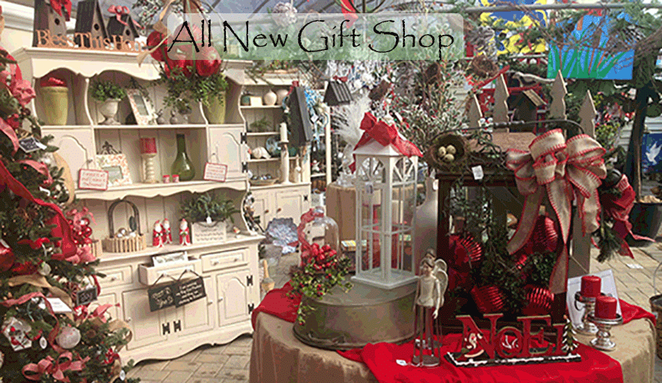 Cross Creek Florist & Gifts | 501 Courthouse Rd, Richmond, VA 23236, USA | Phone: (804) 378-0700