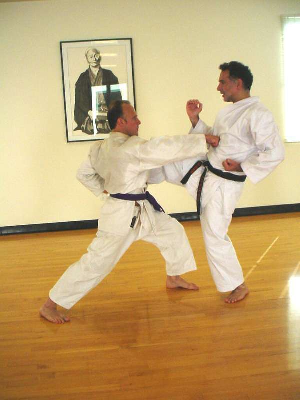 Shoshin Karate-Do International | 1564, 30850 Rancho Viejo Rd, San Juan Capistrano, CA 92675 | Phone: (949) 728-2611