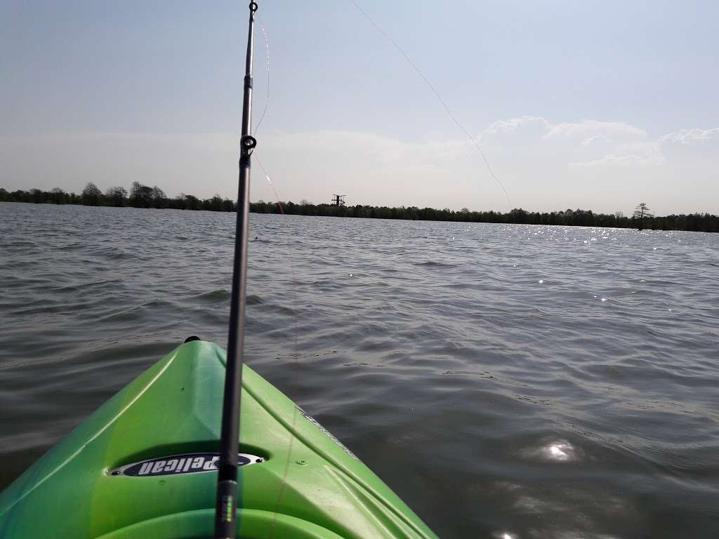 Sheldon Lake State Park and Environmental Learning Center | 14140 Garrett Rd, Houston, TX 77044, USA | Phone: (281) 456-2800