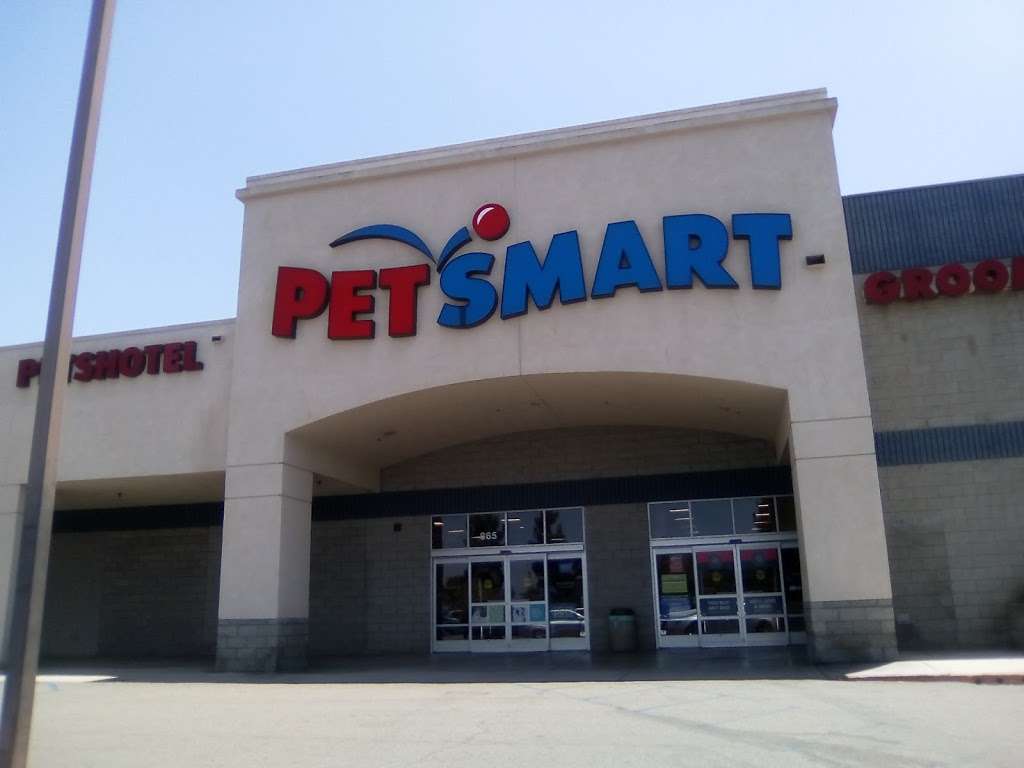 PetSmart | 865 Jackman St, El Cajon, CA 92020, USA | Phone: (619) 442-0600