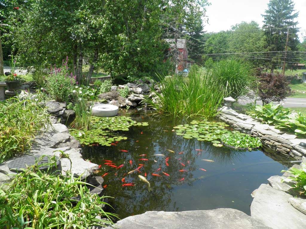 B & M Aquatic Gardens & Koi | 3408 NJ-94, Hamburg, NJ 07419 | Phone: (973) 209-1185