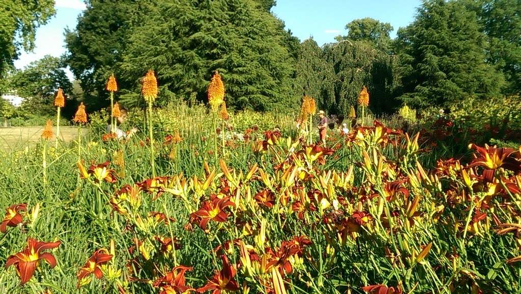 Kew Palace | Royal Botanic Gardens, Richmond TW9 3AE, UK | Phone: 020 3166 6000