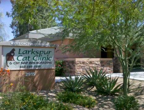 Larkspur Cat Clinic | 2915 W Cactus Rd, Phoenix, AZ 85029, USA | Phone: (602) 548-1899