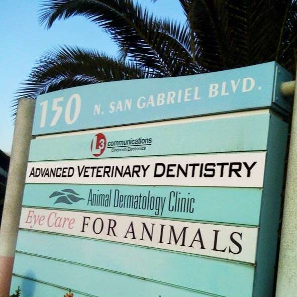 Advanced Veterinary Dentistry | 150 N San Gabriel Blvd, Pasadena, CA 91107, USA | Phone: (626) 356-3110