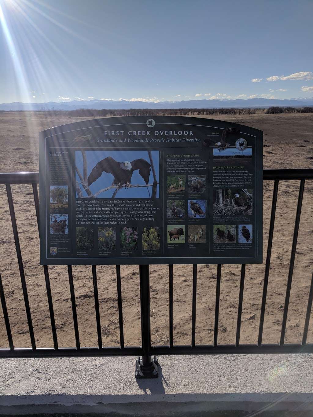 First Creek Overlook | Unnamed Road, Denver, CO 80249