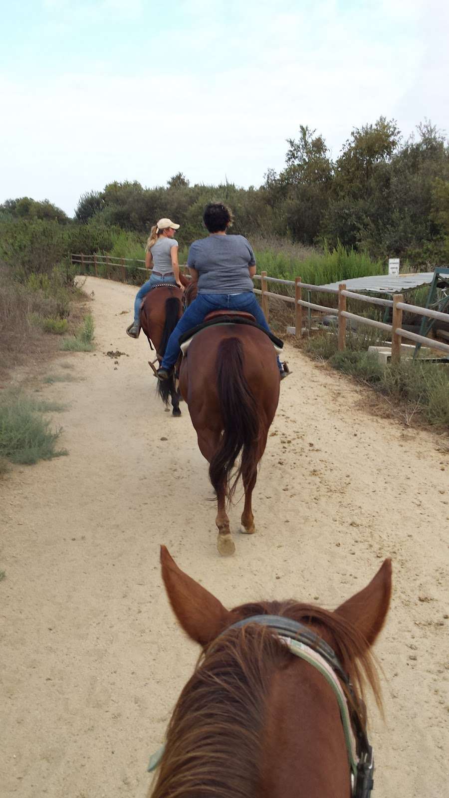Pony Land: Pony Rides & Petting Zoo | 2606 Hollister St, San Diego, CA 92154, USA | Phone: (619) 947-3152