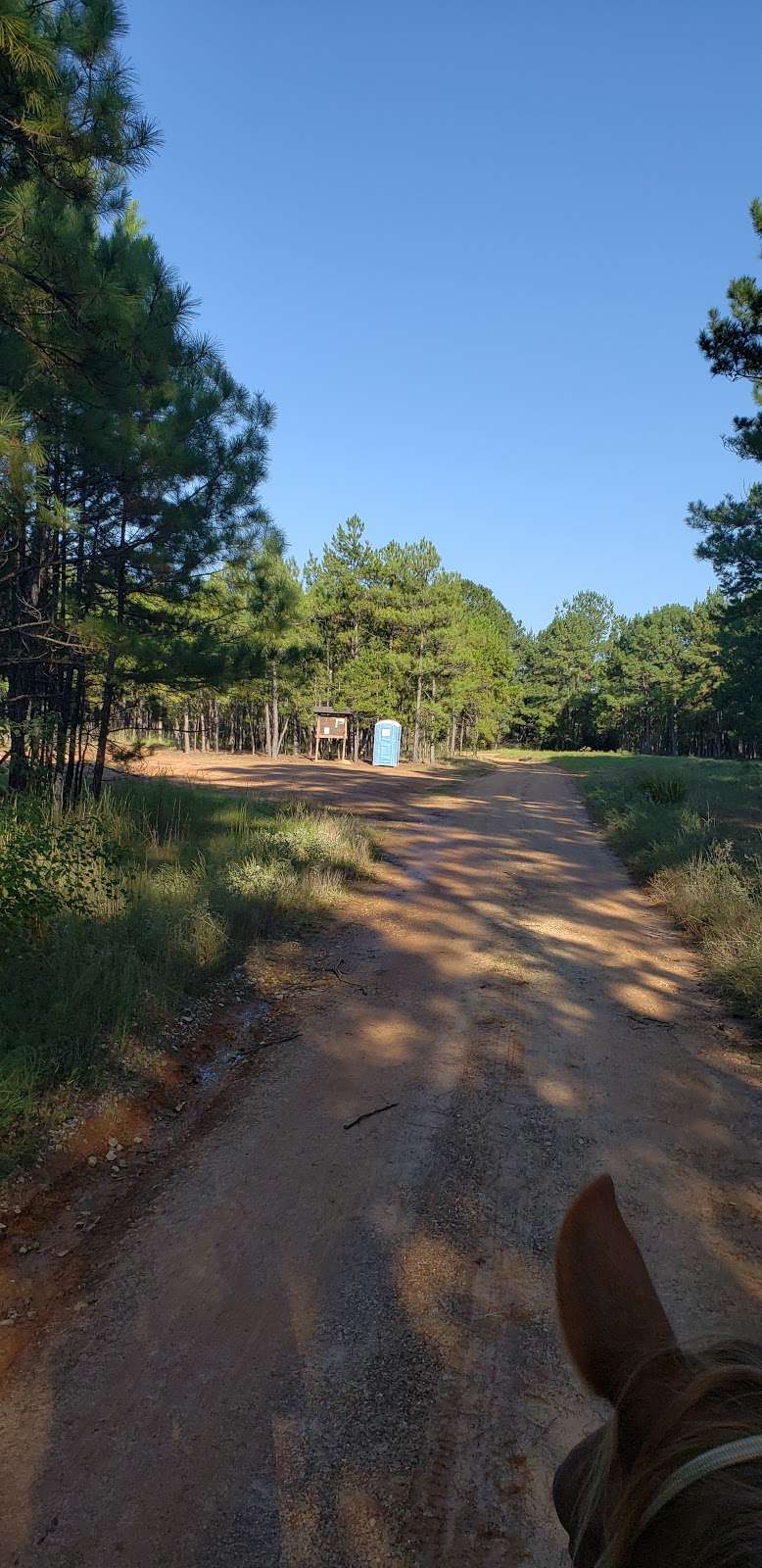 Hunters camp - Sam Houston National Forest | Cleveland, TX 77328