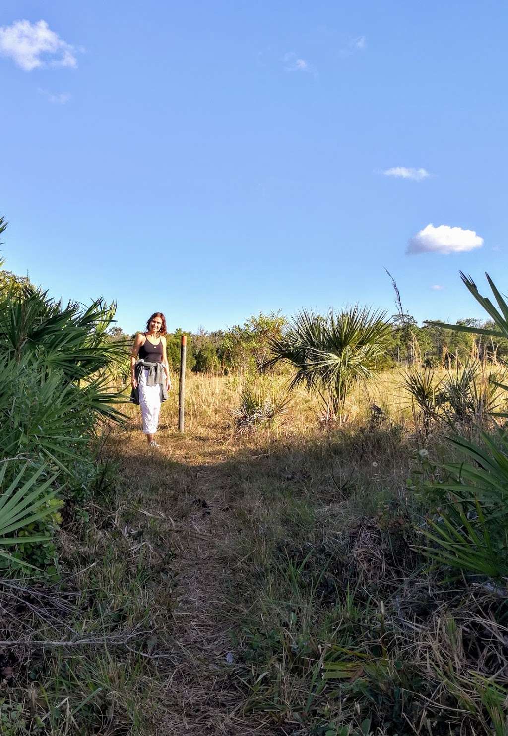 Charles H. Bronson State Forest | Oviedo, FL 32766, USA