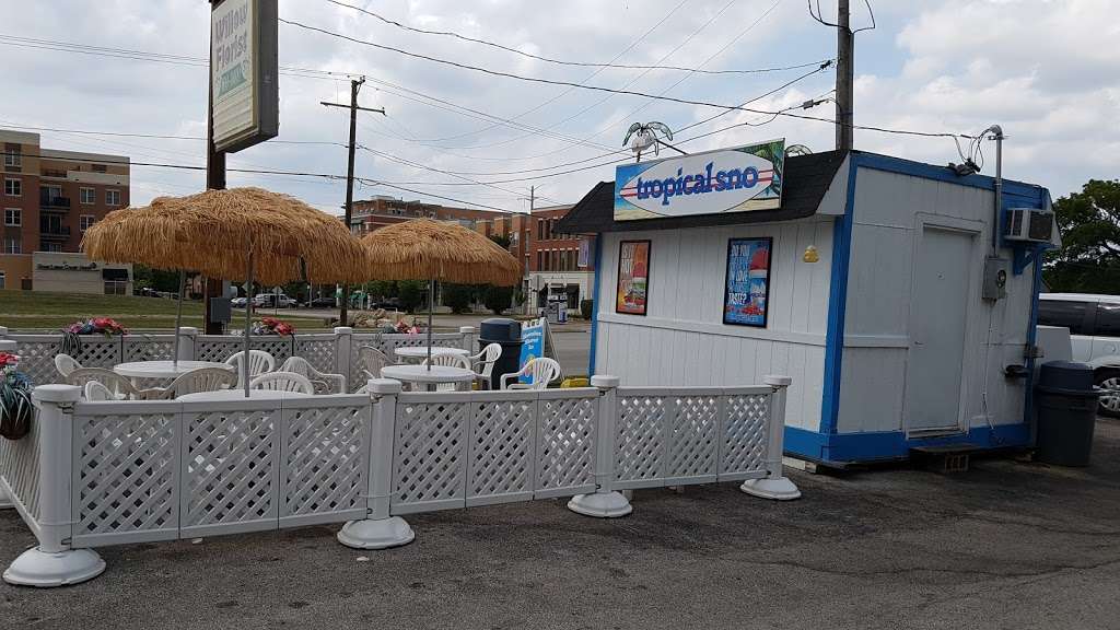 Tropical Sno | 8695 Archer Ave, Willow Springs, IL 60480, USA | Phone: (708) 599-5065