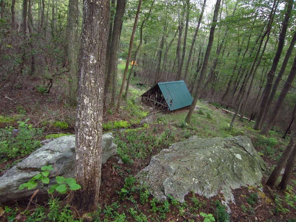 Primitive Campsite #8 | Unnamed Road, Shippensburg, PA 17257, USA