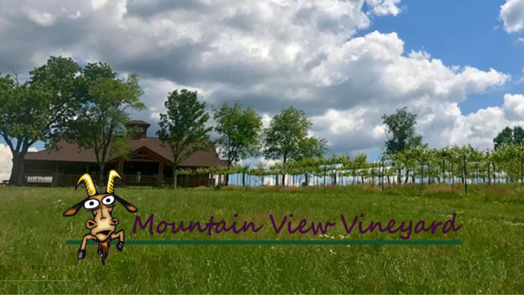 Mountain View Vineyard, Winery & Brewery | 2332 Walters Rd, Stroudsburg, PA 18360, USA | Phone: (570) 619-0053