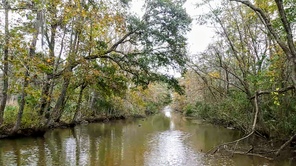 Jean Lafitte Swamp Tour | 6601 Leo Kerner Lafitte Pkwy, Marrero, LA 70072, USA | Phone: (504) 293-2338