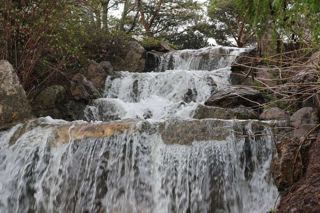 Waterfall Garden | Glencoe, IL 60022