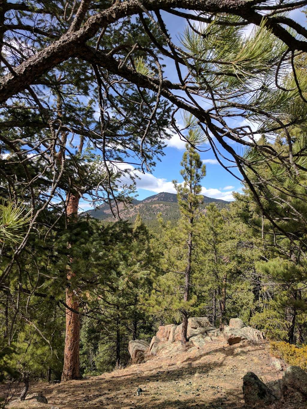 Meadows Group Campground | Colorado Trail, Pine, CO 80470, USA | Phone: (877) 444-6777