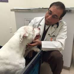 Pets N Vets Animal Hospital | 4200 Chino Hills Pkwy #680, Chino Hills, CA 91709 | Phone: (909) 597-1300