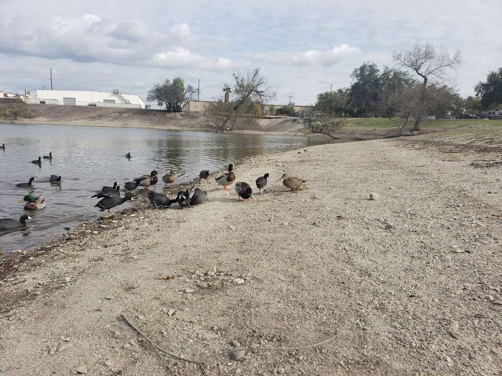 Mungi Lake | El Monte, CA 91732, USA