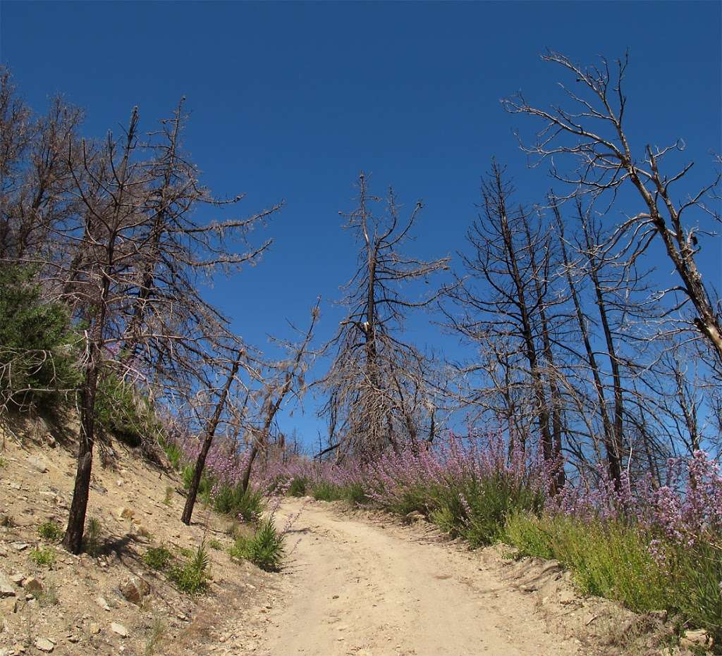 Vetter Mountain Lookout Interpretive Site | Palmdale, CA 93550