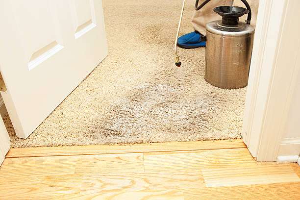 Hamilton Carpet Cleaner Dobbs Ferry | 1 Hamilton St, Dobbs Ferry, NY 10522, USA | Phone: (914) 908-4035