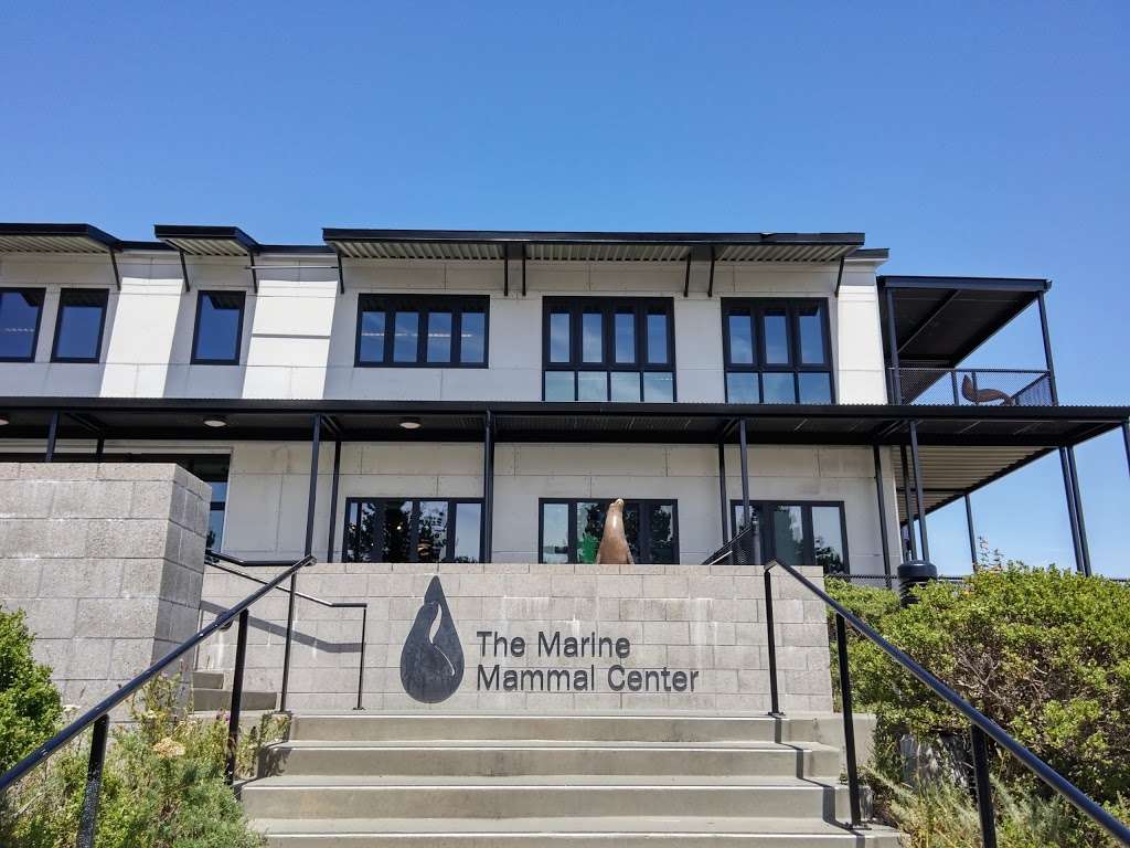 The Marine Mammal Center | 2000 Bunker Rd, Sausalito, CA 94965, USA | Phone: (415) 289-7325