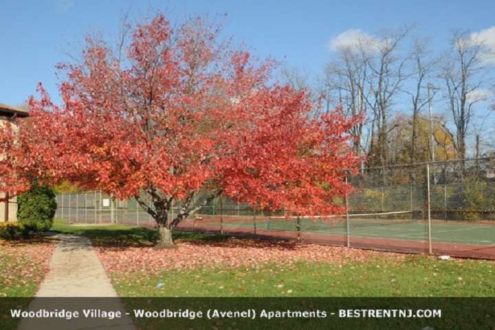 Woodbridge Village | 305 Village Dr, Avenel, NJ 07001 | Phone: (732) 388-2211