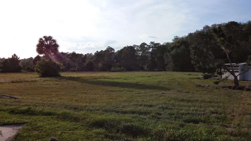 The theotokos land | 646 Co Rd 415, New Smyrna Beach, FL 32168, USA