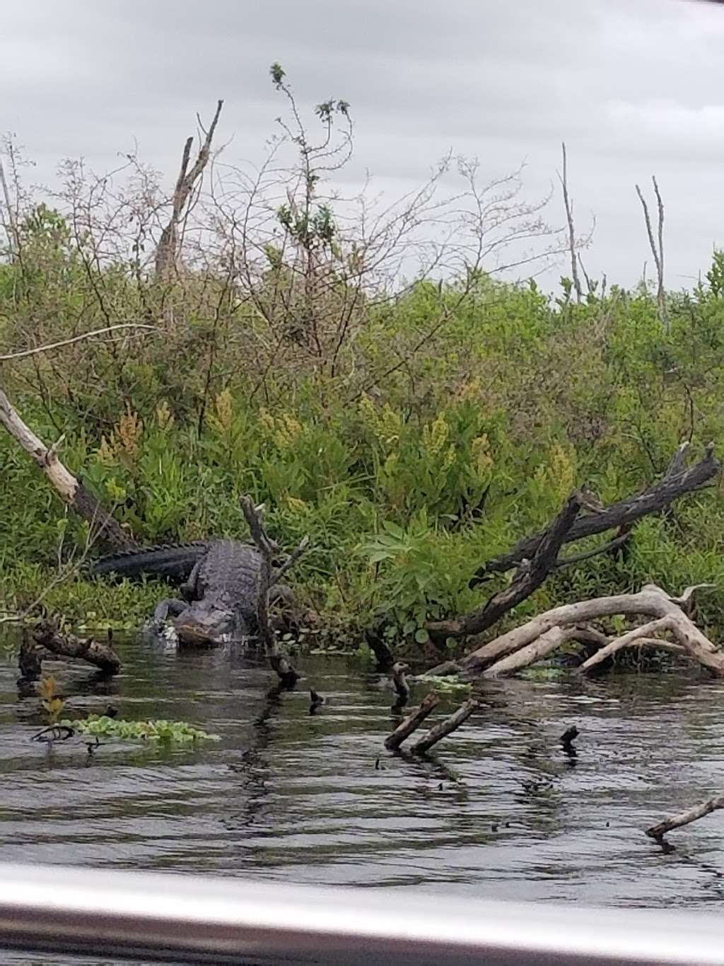 Camp Holly Airboat Rides | 6901 US-192, Melbourne, FL 32904, USA | Phone: (321) 723-2179