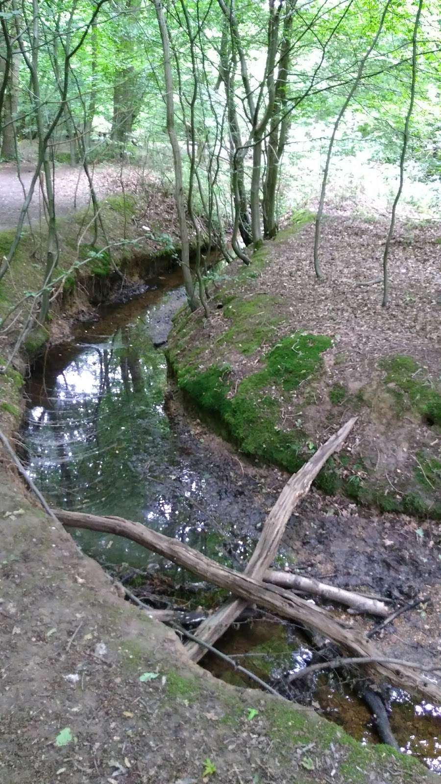 Loughton Brook Storage Pond | 5 Staples Rd, Loughton IG10 1HP, UK