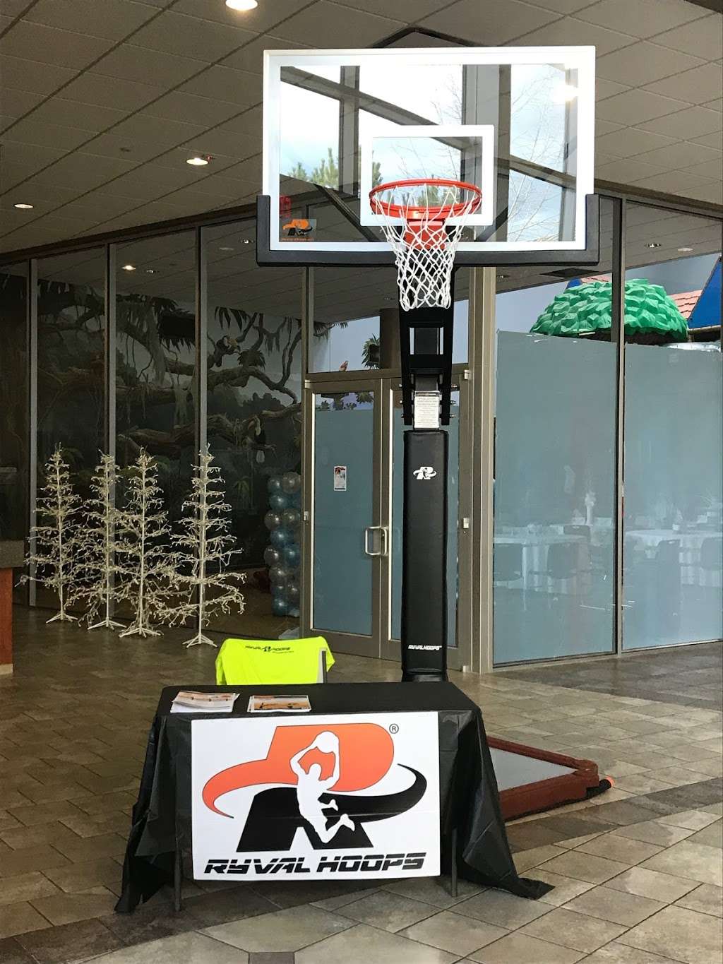 Ryval Basketball Hoops - Tomball | 17723 Farm to Market 2920 suite b, Tomball, TX 77377, USA | Phone: (832) 559-3088