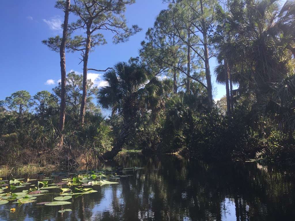 Cypress Creek South Natural Area | 9424 W Indiantown Rd, Jupiter, FL 33478, USA | Phone: (561) 233-2400