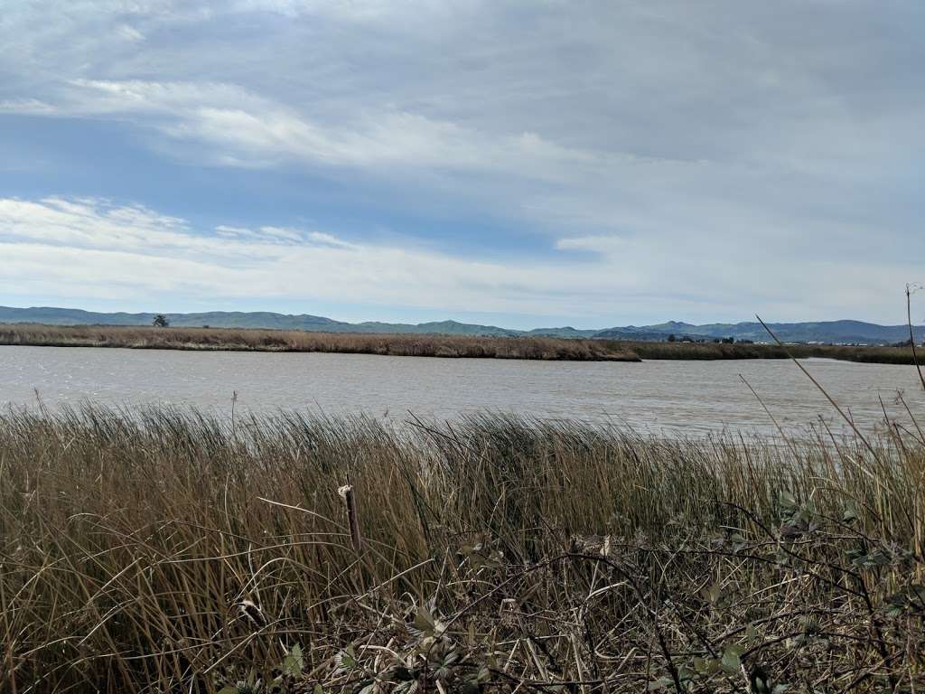 Rush Ranch Open Space | 3521 Grizzly Island Rd, Suisun City, CA 94585, USA | Phone: (707) 432-0150