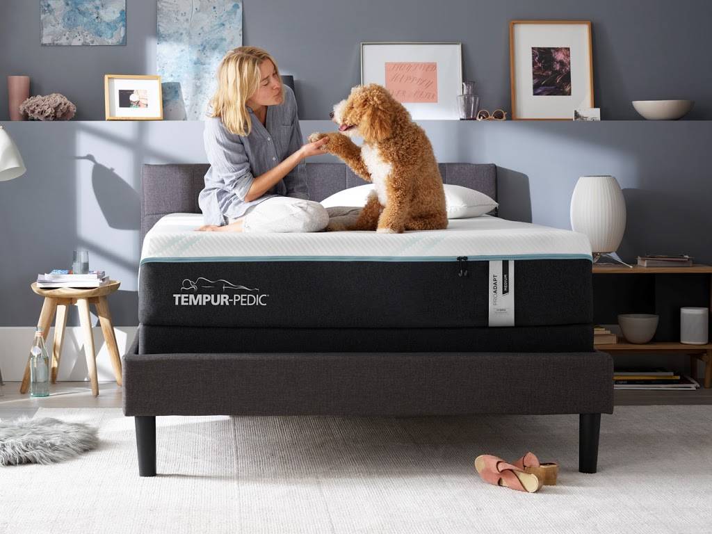 Metro Mattress Buffalo | 2625 Delaware Ave, Buffalo, NY 14216, USA | Phone: (716) 875-8500
