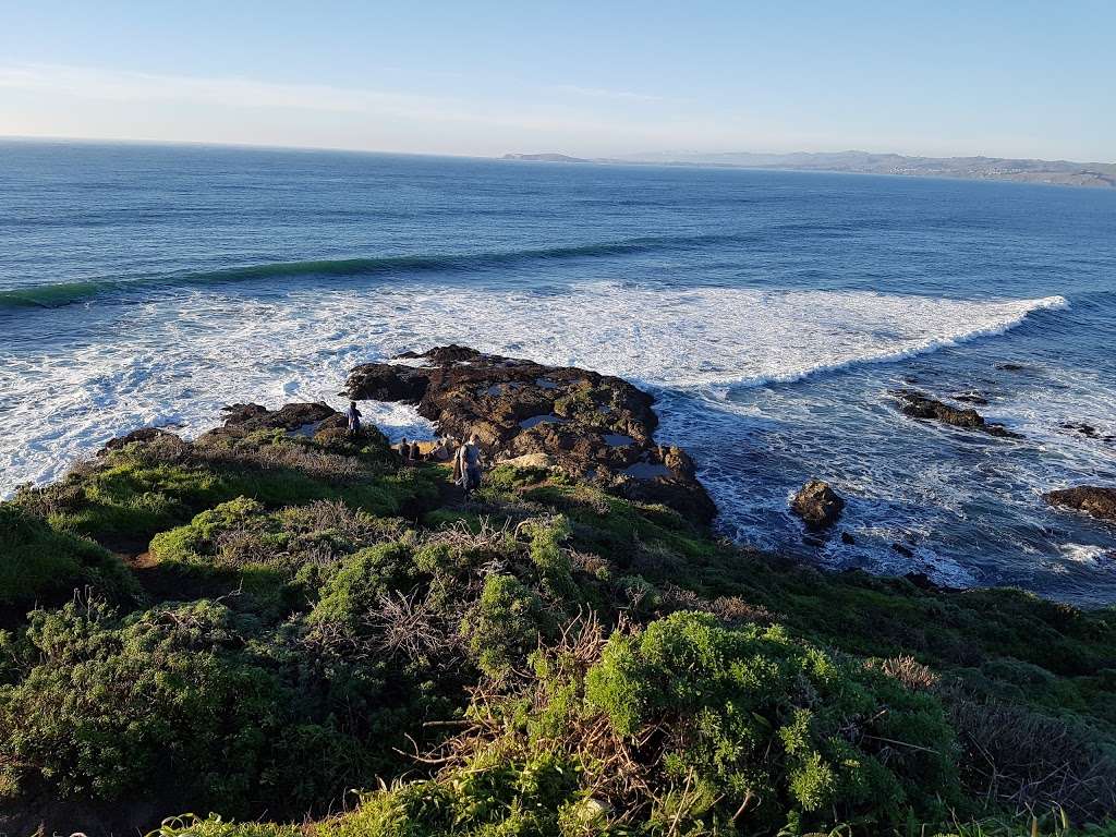 Tomales Point | Inverness, CA 94937, USA