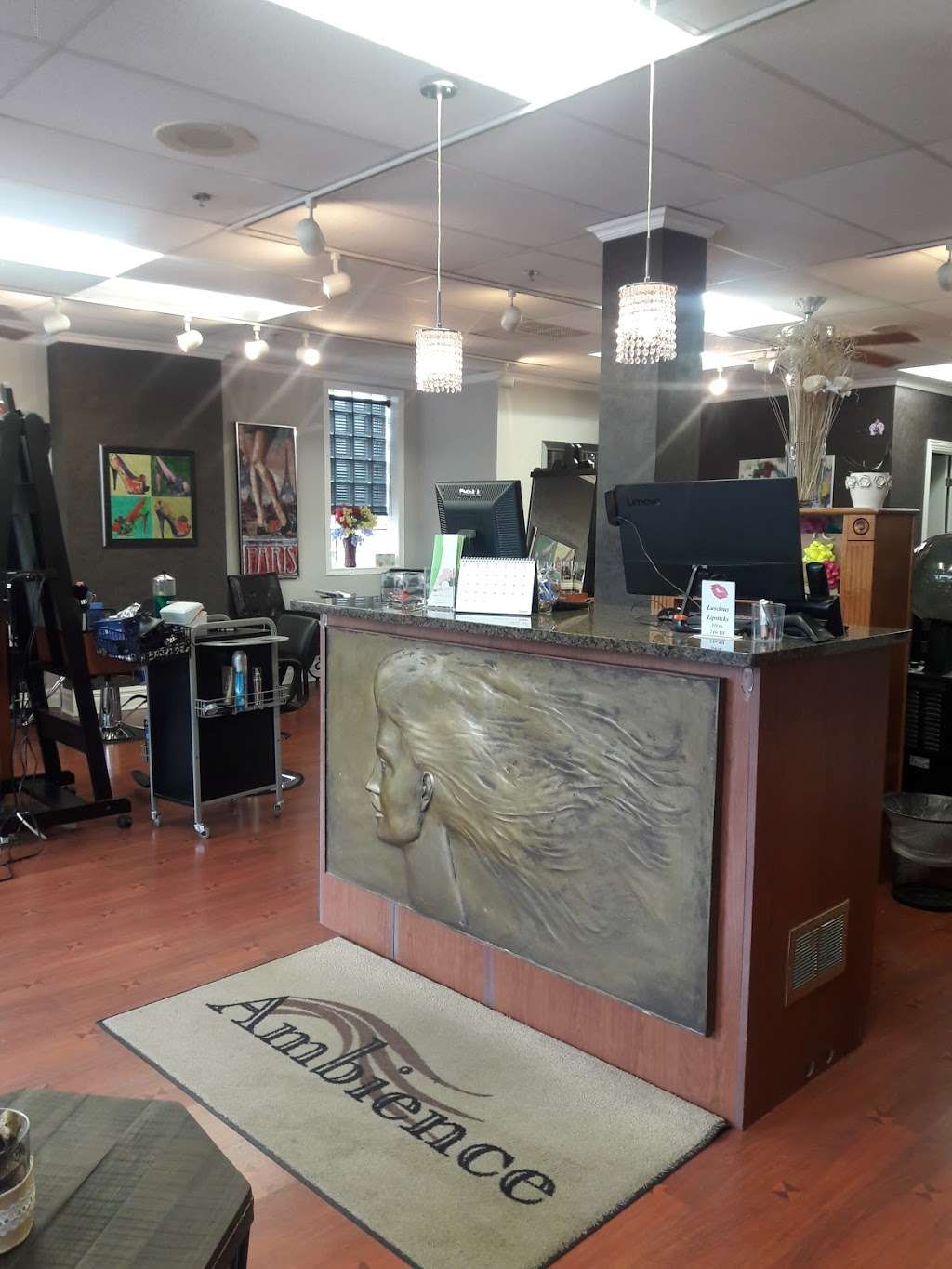 Ambience Hair Studio | 2222 Maple Ave # 2, Downers Grove, IL 60515, USA | Phone: (630) 663-1820