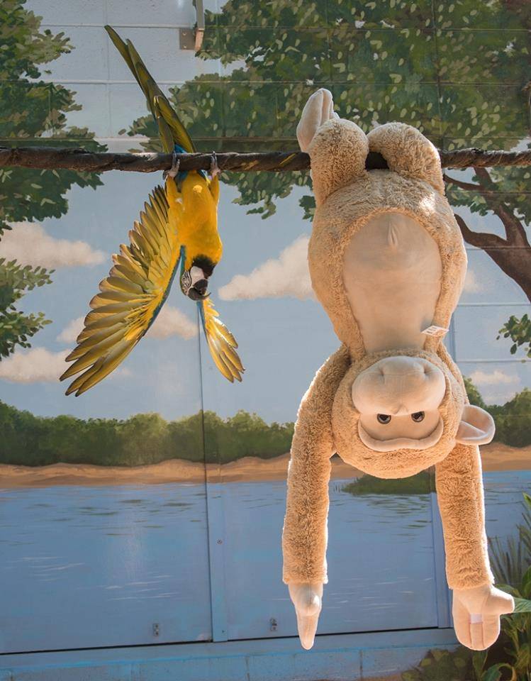 Wishpets LLC | 6555 SW 110th Ct, Beaverton, OR 97008, USA | Phone: (503) 574-2700 Wishpets LLC | 6555 SW 110th Ct, Beaverton, OR 97008, USA | Phone: (503) 574-2700