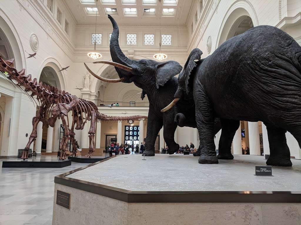 The Field Museum | 1400 S Lake Shore Dr, Chicago, IL 60605, USA | Phone: (312) 922-9410