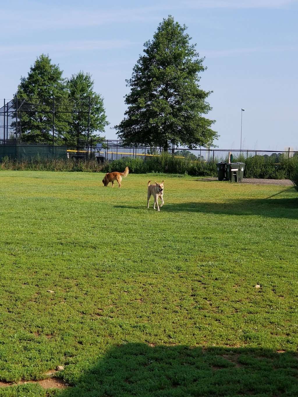 Dog Park at Turkey Brook | Flanders Rd, Flanders, NJ 07836, USA | Phone: (973) 691-0900