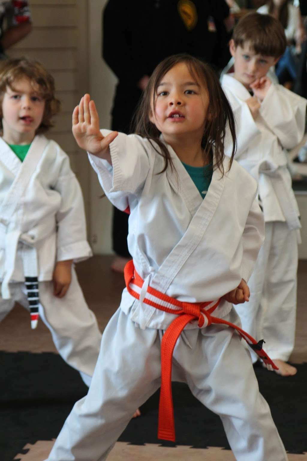 The Dojo | 141 Bridge Rd, Salisbury, MA 01952, USA | Phone: (978) 499-8800