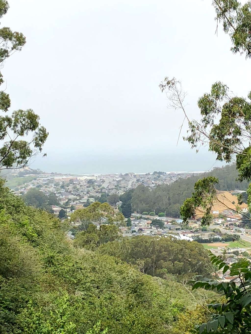 Montara Mountain Hike | 600 Oddstad Blvd, Pacifica, CA 94044, USA | Phone: (650) 355-8289